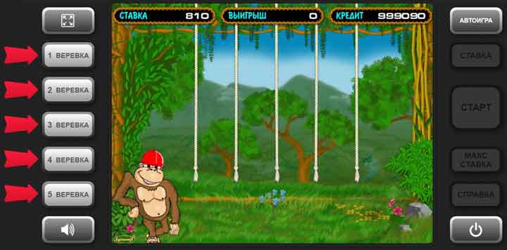 правила бонусной игры игрового автомата Crazy Monkey
