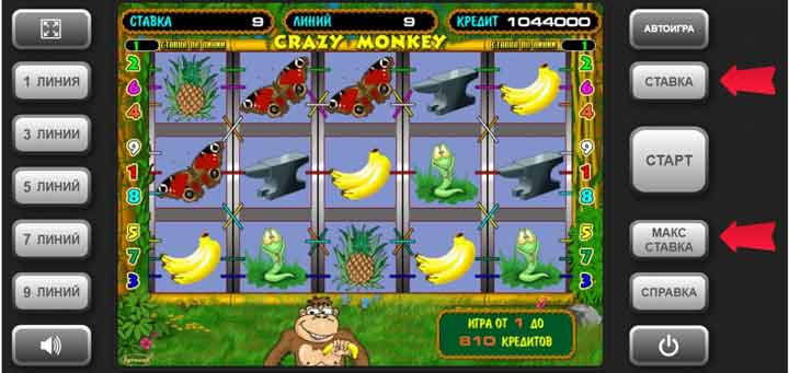 ставка в онлайн игре Crazy Monkey