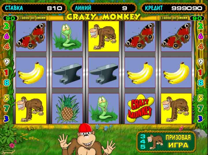 Бонусная игра слота Crazy Monkey